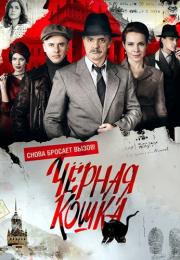 Чёрная кошка Сериал 2016 2020 Все (1-16 серии) подряд